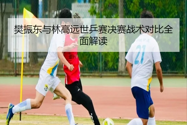 樊振东与林高远世乒赛决赛战术对比全面解读